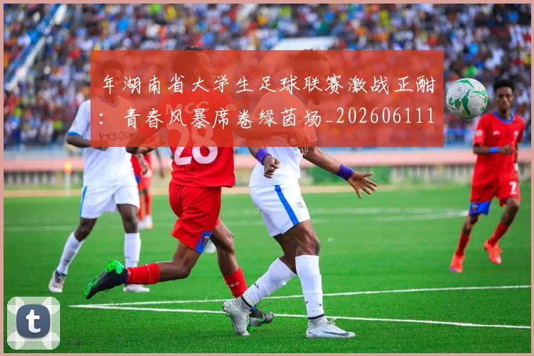 年湖南省大学生足球联赛激战正酣：青春风暴席卷绿茵场_20260611132715