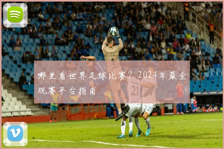 哪里看世界足球比赛？2024年最全观赛平台指南